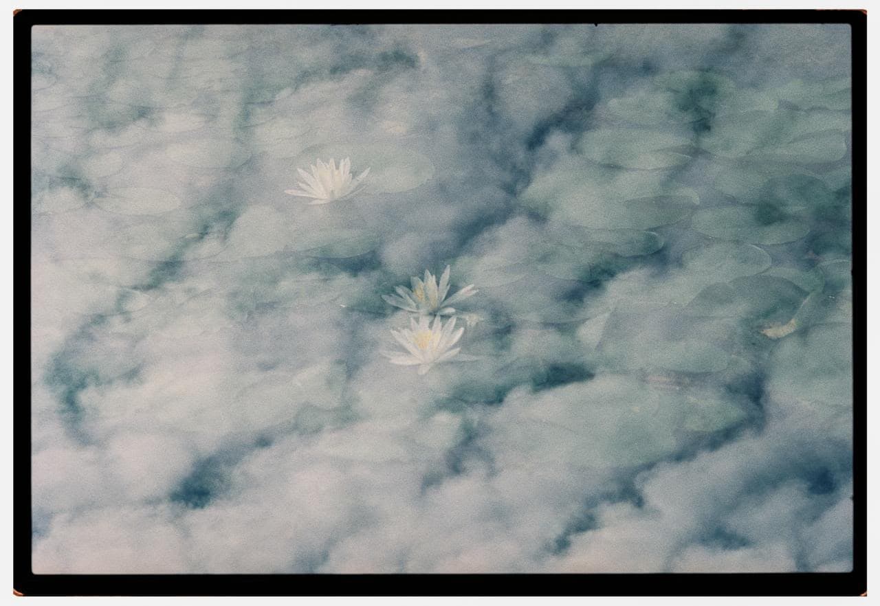 Nubes
