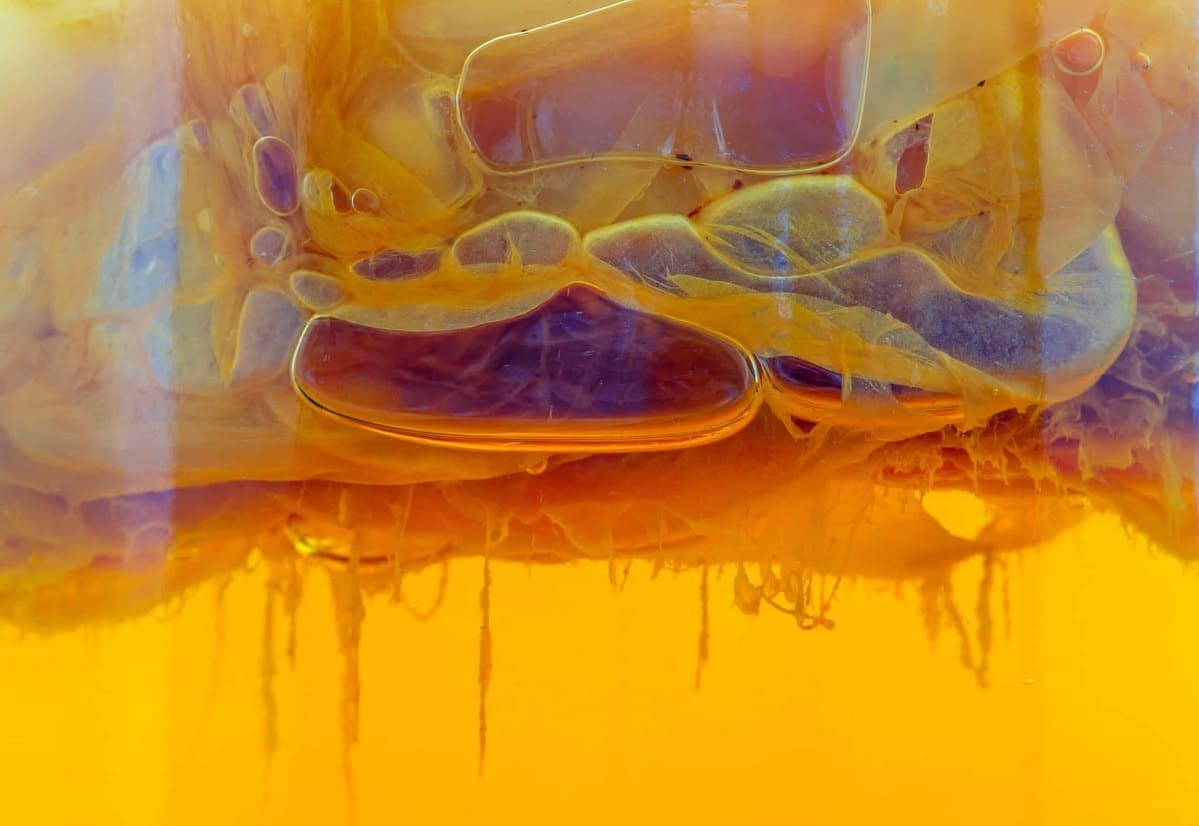 ¿Qué es la kombucha? Historia, elaboración y por qué cada vez más personas la eligen